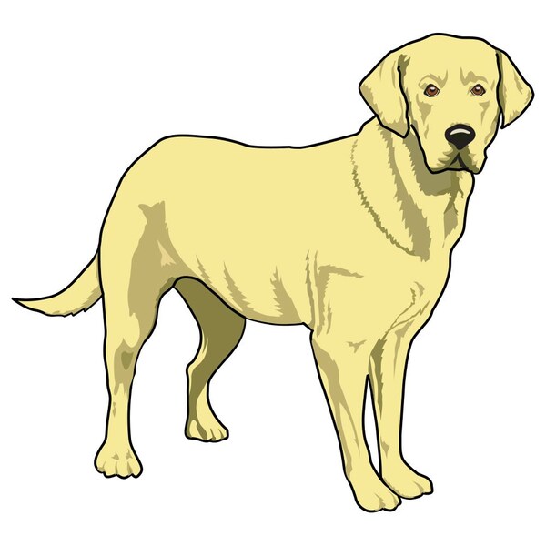 Signmission Labrador Retriever Dog Decal, Dog Lover Decor Vinyl Sticker D-12-Labrador Retriever - main